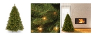 National Tree Company 4.5 ft. Winchester Pine Tree with Clear Lights